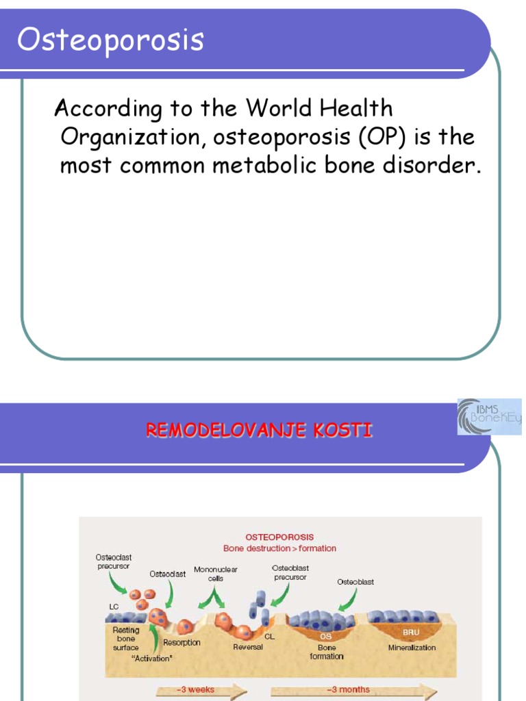 Osteoporosis: Causes and Risk Factors | PDF | Nutrients | Essential ...