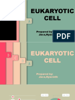 Eukaryotic Cell: Describe The Eukaryotic Cell Identify The Parts and Functions of Eukaryotic Cell