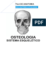 OSTEOLOGIA.docx