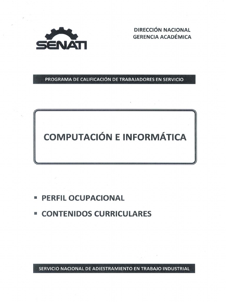 Programa CTS Computación e Informática 201603 PDF | PDF | Periférico ...
