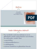 Aula Saliva PDF