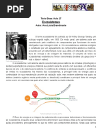 eficiencia ecológica
