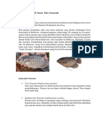 Report Jenis Ikan Makan Dalam Akuaponik