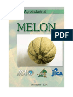 Cadena Melon