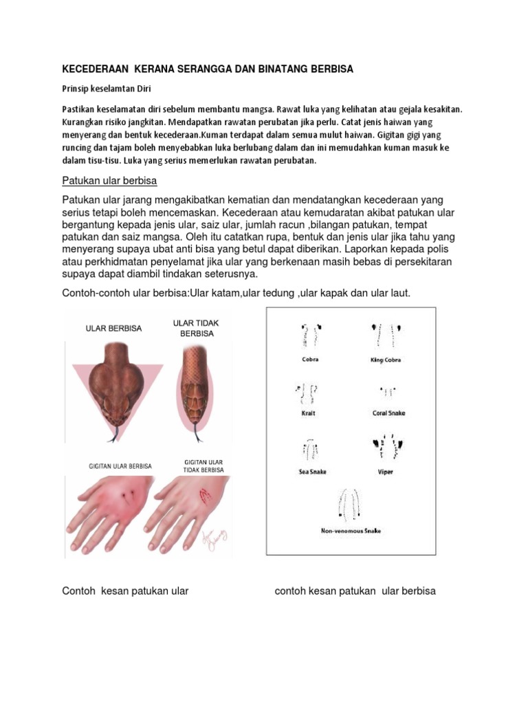 Kecederaan Kerana Serangga Dan Binatang Berbisa Pdf