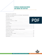 Sistemas Manejadores de Base de Datos