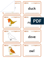 Flashcards Birds PDF