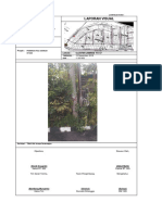 Visual Surey PJU PDF