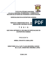 Tesis Final Anibal Cravioto Caballero PDF
