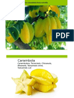 Presentación1 CARAMBOLA