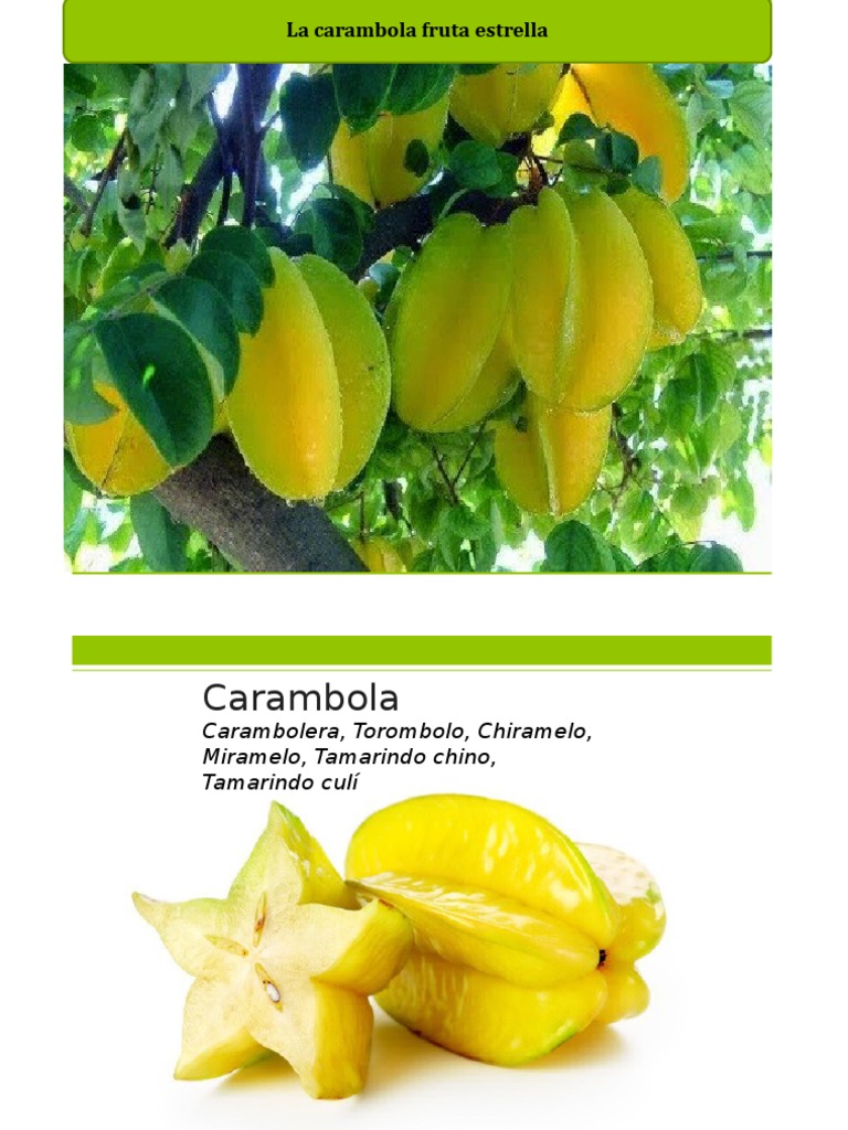 Presentacion1 Carambola Pptx Diabetes Mellitus Alimentos