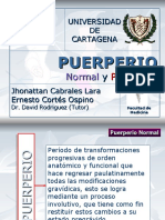 Puerperio Normal y Patologico 119802309093860 5 PPT Share)