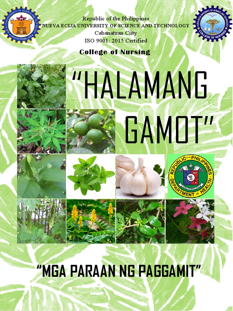Herbal Meds Pamphlet | PDF