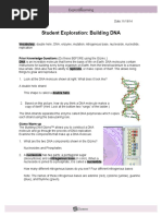 Student Exploration Building Dna Nucleotides Dna