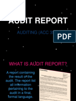 Audit Report Notes