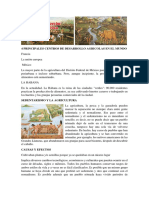 4 PRINCIPALES CENTROS DE DESARROLLO AGRICOLAS EN EL MUNDO.docx