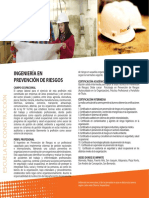 Ing Prev Ries PDF