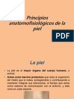 Principios Anatomofisiológicos de La Piel, Rodrigo Romero Bravo