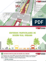 Criterios Particulares de Diseño Vial Urbano