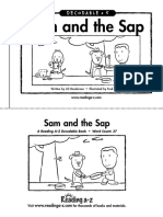 05 Sam and The Sap