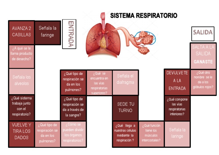 Juegos didácticos del sistema respiratorio | PDF
