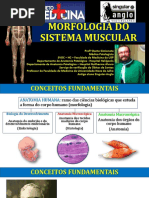 AULA TECIDOS MUSCULARES 2017 1S.pdf