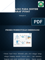 1embriologi Pada Sistem Saraf Pusat