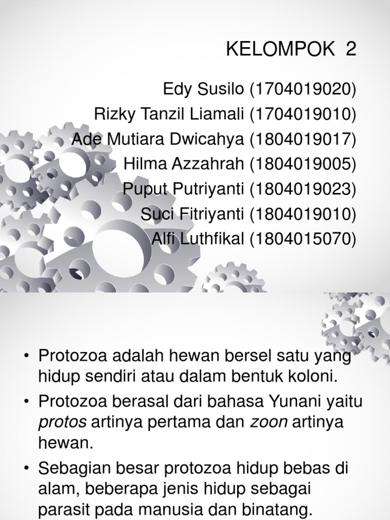 7300 Koleksi Gambar Hewan Bersel Satu Protozoa Terbaru