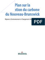 PlanSurLaTarificationDuCarboneDuNB.pdf