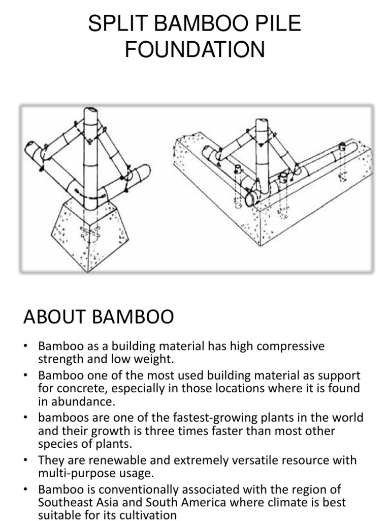 Bamboo Pile Foundation Construction Guide | PDF | Bamboo | Building ...