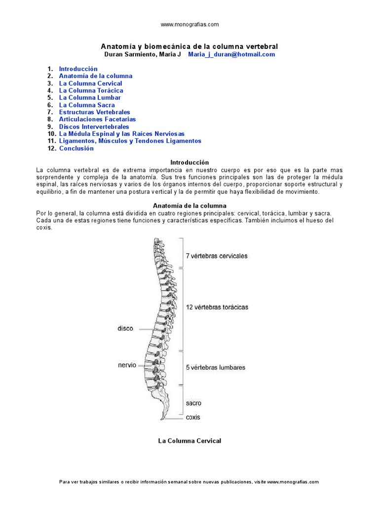 Anatomia Columna Vertebral | PDF | Vértebra | La columna vertebral