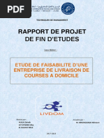 PFE VERSION FIN2.docx