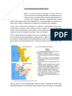 46232319-As-Areas-Metropolitanas-de-Lisboa-e-Porto.pdf