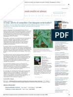 ¿Cómo Afecta El Cannabis A Las Sinapsis Neuronales - Noticias - Investigación y Ciencia