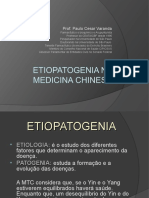 Etiopatogenia Na Medicina Chinesa