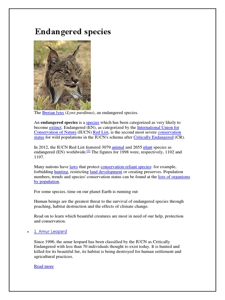 Endangered Species Overview | PDF | Endangered Species | Rhinoceros