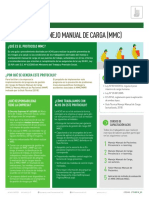 Ficha Técnica Manejo manual de carga 2018.pdf