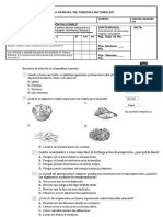 Guía de Naturales Alimentación Saludable