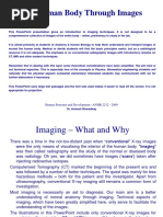 Radiographic Densities | PDF