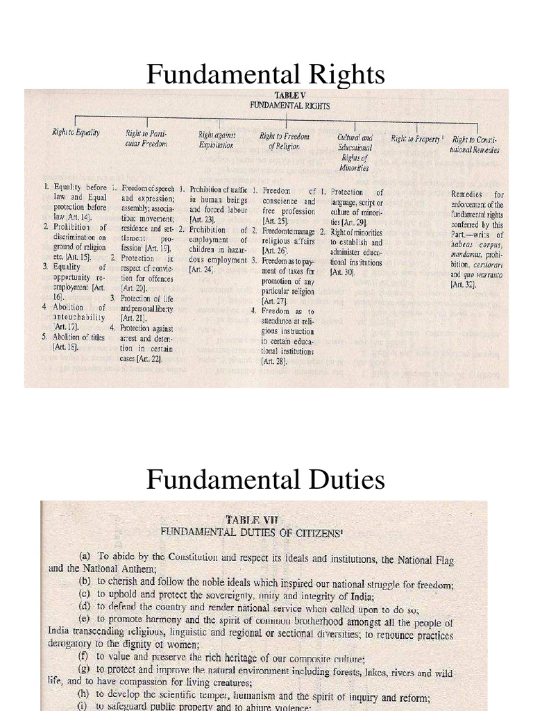 Overview of Rights and Duties | PDF