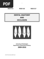 Download Dental Anatomy Manual by docfermar SN40298447 doc pdf