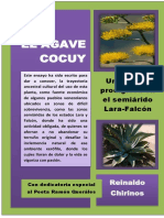 El Agave Cocuy