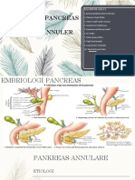 Embriologi Pancreas