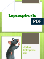 PPT. Leptospirosis