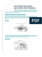 Sistem Peredaran Darah Pada Hewan