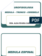 3. Médula - Tronco - Cerebelo 07 03 2018.pdf