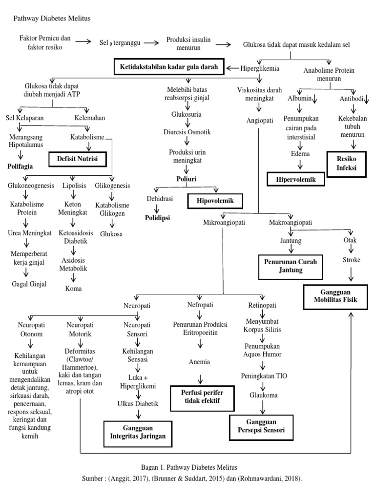 Pathway Diabetes Melitus dan Komplikasinya | PDF