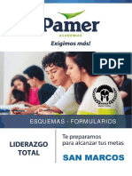 Formulario - PAMER.pdf
