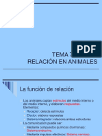 15 Relacion Animales Nervioso