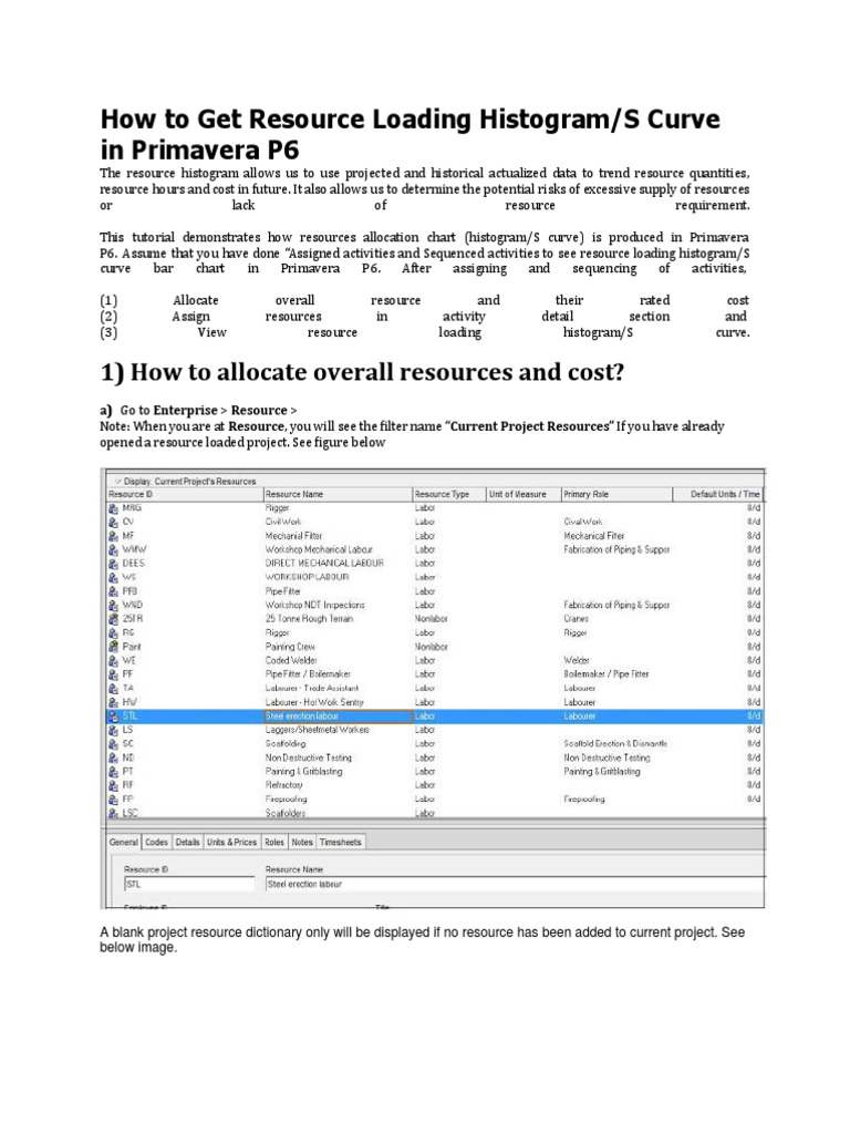Creating Resource Histograms in P6 | PDF | Histogram | Labour Economics